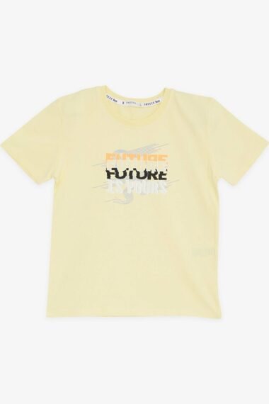 تی شرت پسرانه بریز کد 18636 | Breeze