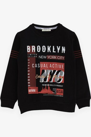 سویشرت پسرانه بریز کد E16339 | Breeze