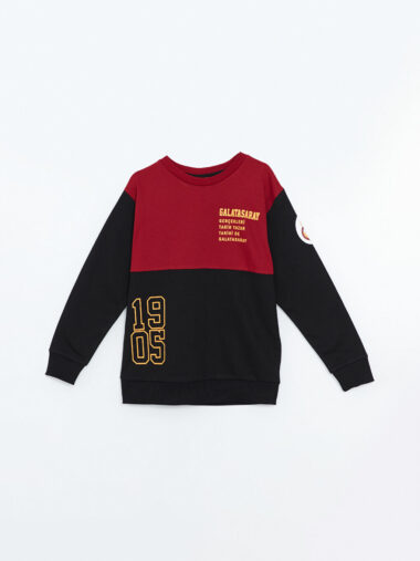 سویشرت پسرانه  کد W4EN06Z4 |