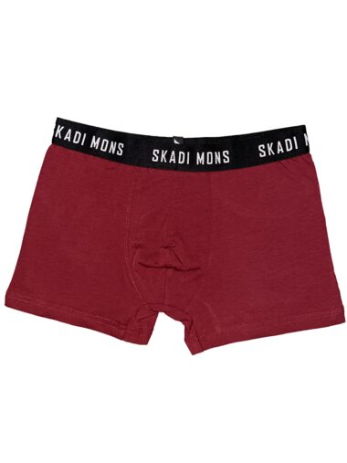 شورت باکسر مردانه اسکادی مونز کد 120-3605020123-2 – 19951 | Skadi Mons