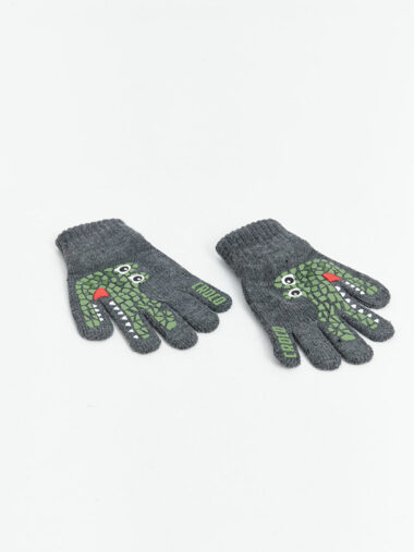 دستکش پسرانه ال سی وایکیکی کد W4HM50Z4 – L8N | LCW ACCESSORIES