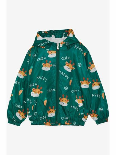 بارانی نوزاد پسر بریز کد  | Breeze