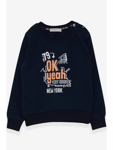 سویشرت نوزاد پسر بریز کد  | Breeze