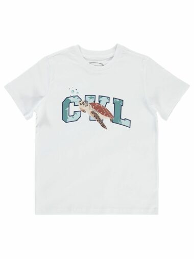 تی شرت پسرانه سیویل کد 18330G65724S2 – 20063 | Civil