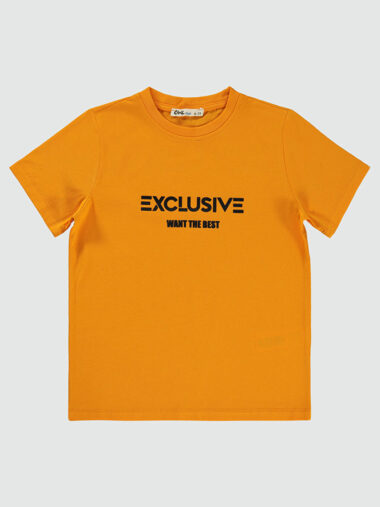 تی شرت پسرانه سیویل کد 1895199225S1 – 20008 | Civil