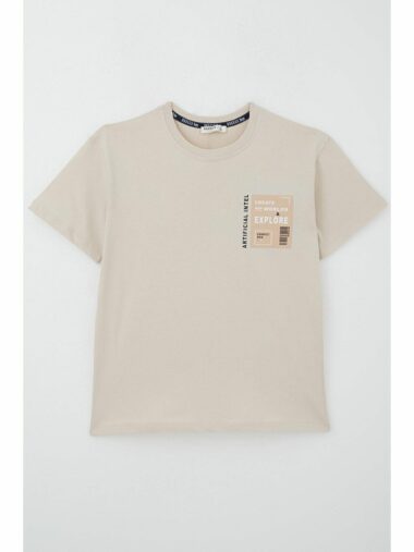 تی شرت پسرانه بریز کد 20972 – 19928 | Breeze