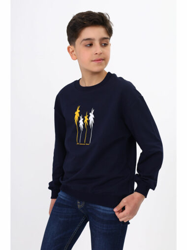 سویشرت پسرانه تون توی کیدز کد 23336 – 21164 | Toontoykids