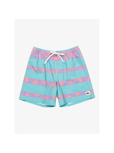 شورت شنا مردانه کویک سیلور اورجینال | S000203351 Quiksilver