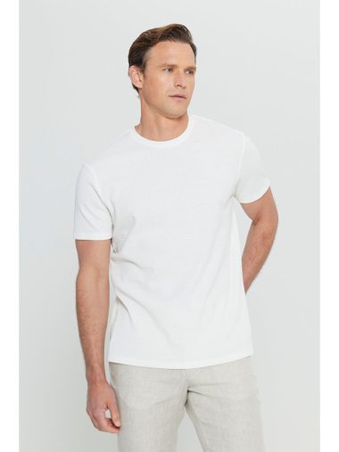 تی شرت مردانه التین ییلدیز اورجینال | S000402894 Altınyıldız Classics