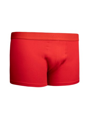 شورت باکسر مردانه حاتم اوغلو اورجینال | S000387227 Hatemoğlu