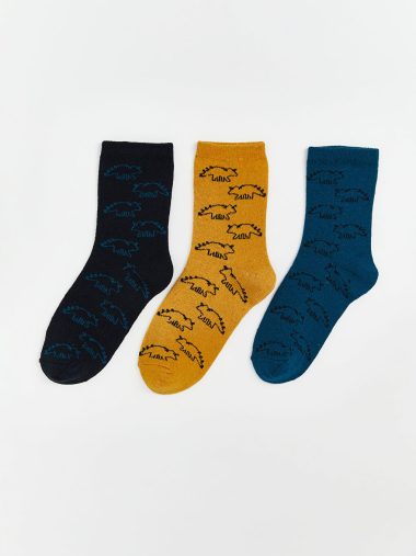 جوراب پسرانه ال سی وایکیکی اورجینال | W5ES85Z4 LCW ECO