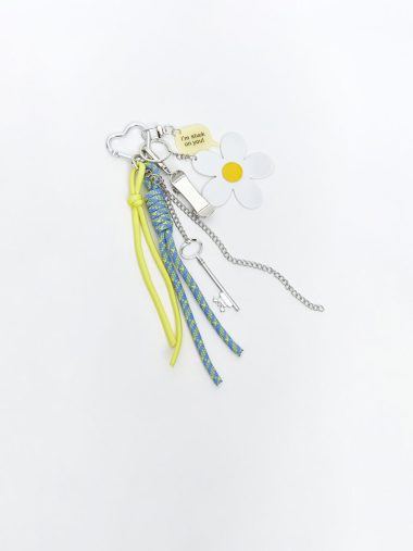 اکسسوری کیف زنانه ال سی وایکیکی اورجینال | W5LE04Z8 LCW ACCESSORIES