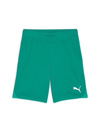 شورت ورزشی مردانه پوما اورجینال |  Puma