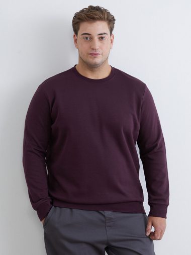 سویشرت مردانه ال سی وایکیکی اورجینال |  LCWAIKIKI Classic