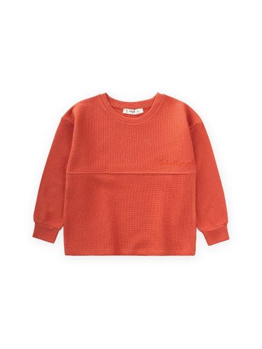 تی شرت پسرانه سیجیت اورجینال |  CİGİT