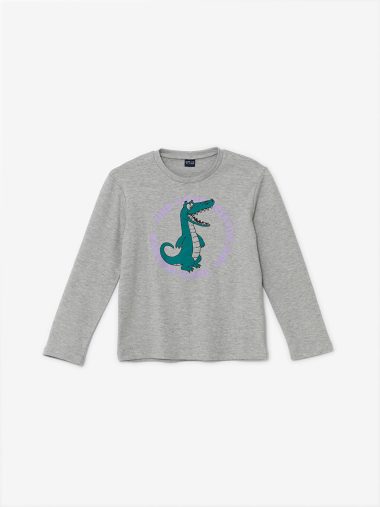 تی شرت پسرانه ال سی وایکیکی اورجینال |  LCW ECO