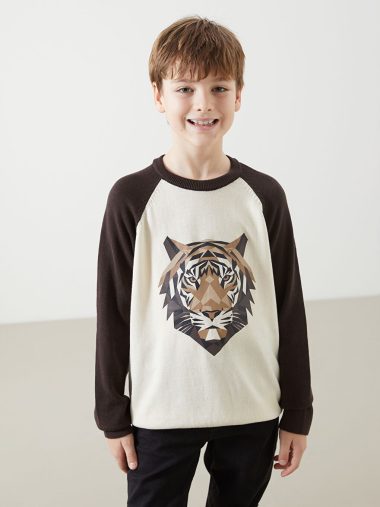 بافت پسرانه ال سی  وایکیکی اورجینال |  LCW Kids