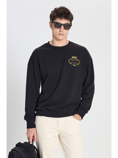 سویشرت مردانه التین ییلدیز اورجینال |  AC&Co / Altınyıldız Classics