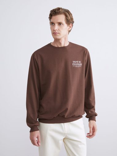 سویشرت مردانه ال سی وایکیکی اورجینال |  LCW ECO