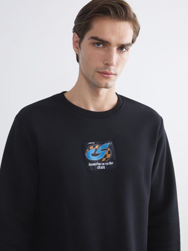 سویشرت مردانه ال سی وایکیکی اورجینال |  LCW ECO