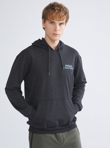 هودی مردانه ال سی وایکیکی اورجینال |  LCW ECO