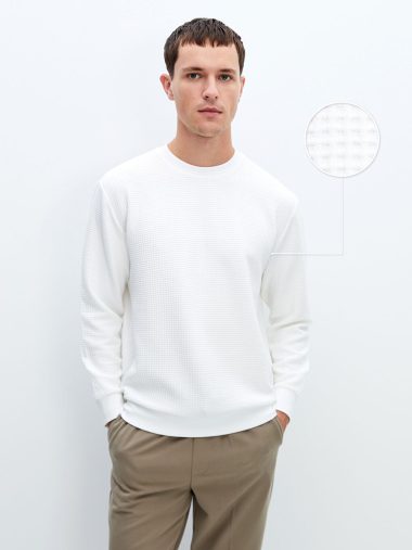 سویشرت مردانه ال سی وایکیکی اورجینال |  LCW Vision